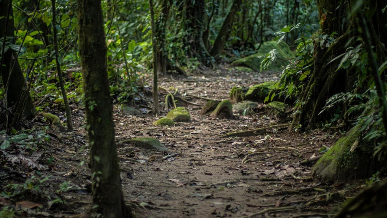 Hotel Rancho Cerro Azul La Fortuna Eksteriør bilde