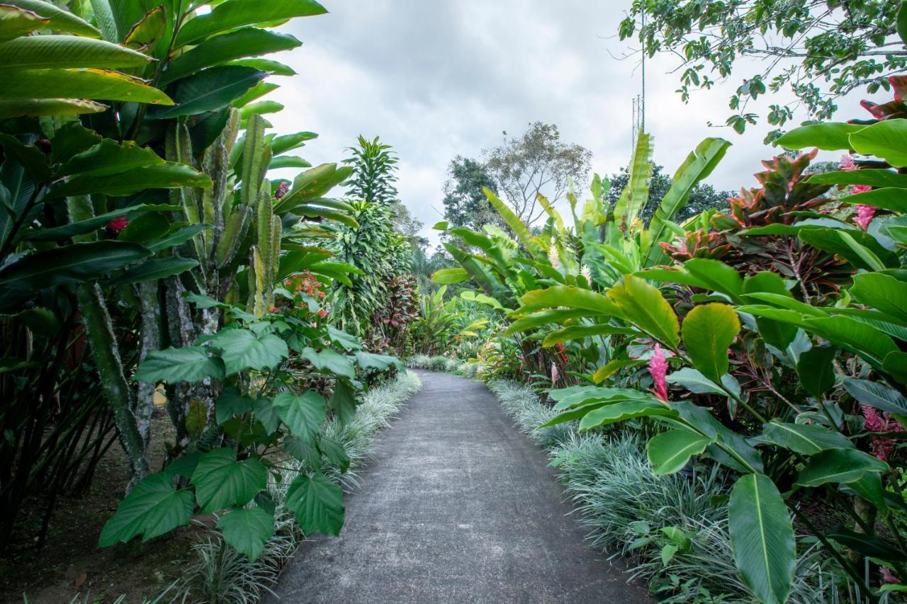 Hotel Rancho Cerro Azul La Fortuna Eksteriør bilde